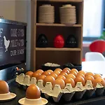 Ibis Centre Hotel
