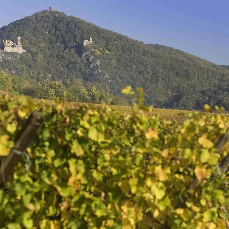 Hotel Ibis Centre Colmar