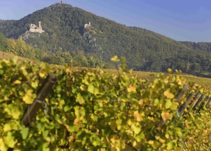 ホテル イビス サントル コルマール