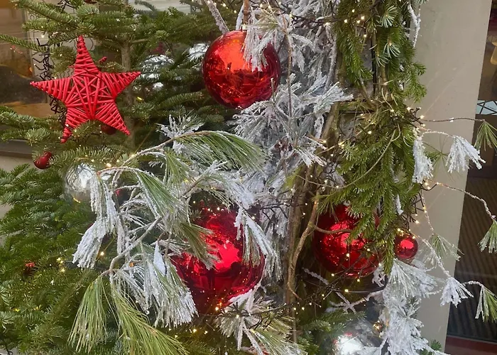 イビス サントル ホテル 3*