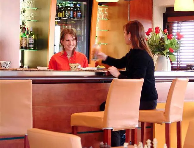 Ibis Centre Hotel Colmar